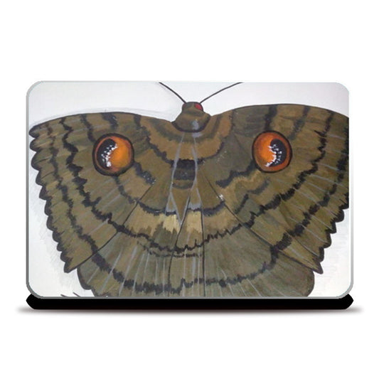Laptop Skins, butterfly Laptop Skins