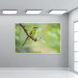 Green Bee-eater Wall Art