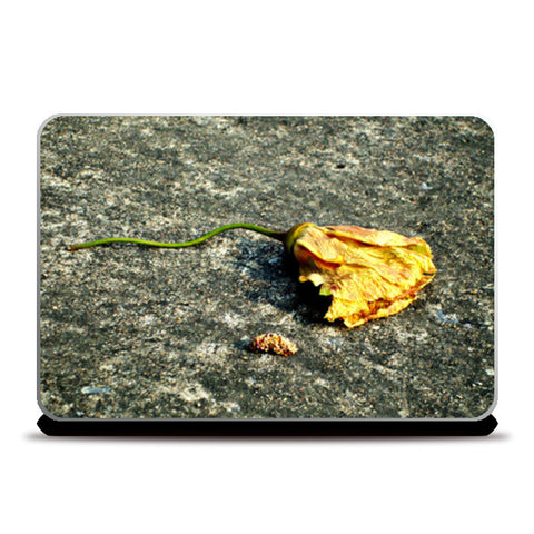 Laptop Skins, After life : Flower Laptop Skins