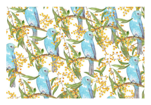 Watercolor Acacia Flowers With Birds Spring Garden Background Illustration Art PosterGully Specials