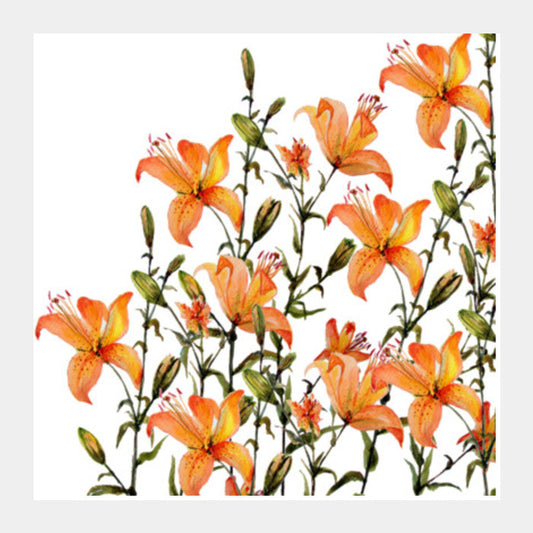 Orange Lily Flowers Watercolor Summer Botanical Prints