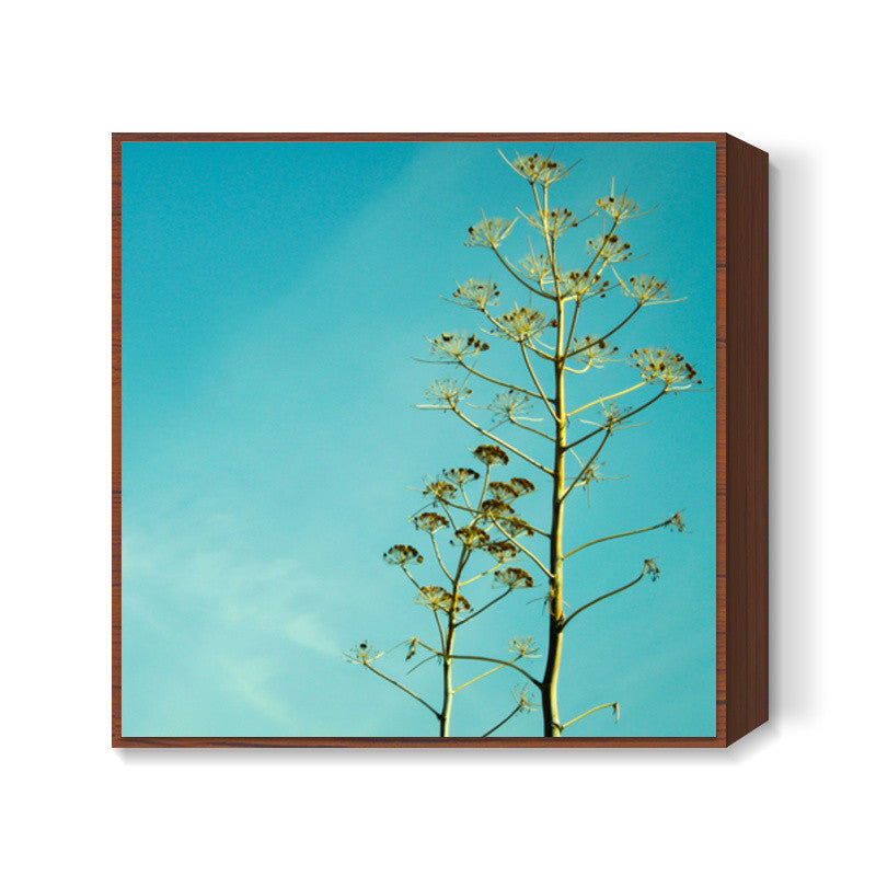 Fern in the Turkish sky 2 Square Art Prints