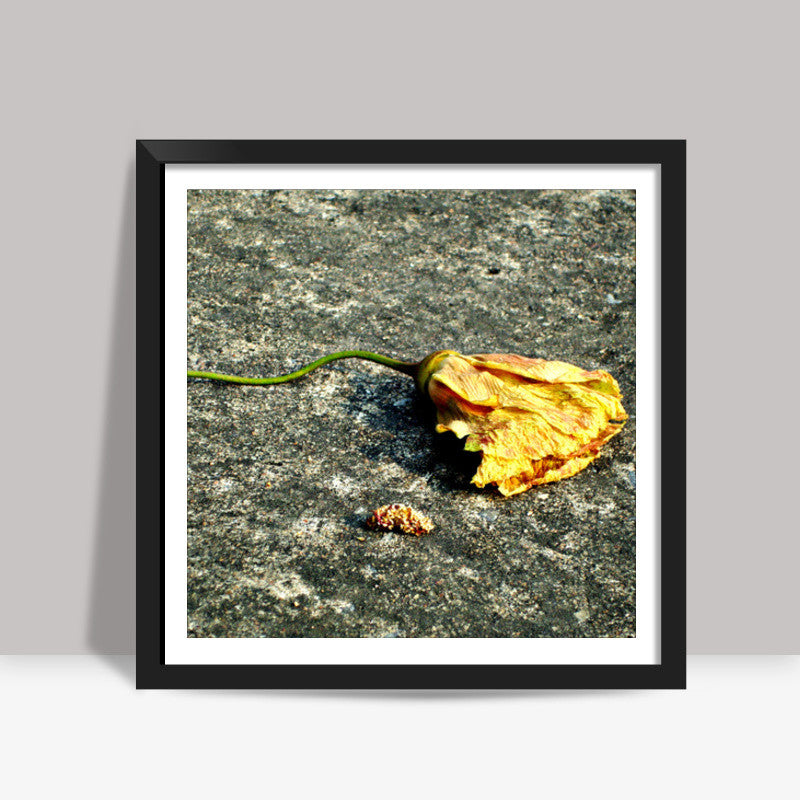 After life : Flower Square Art Prints
