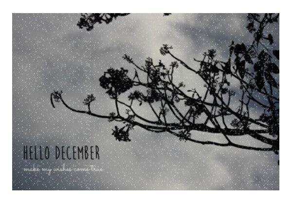 Wall Art, Hello December Wall Art