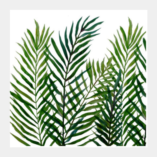 Painted Tropical Palm Tree Leaves Summer Botanical Nature Square Art Prints