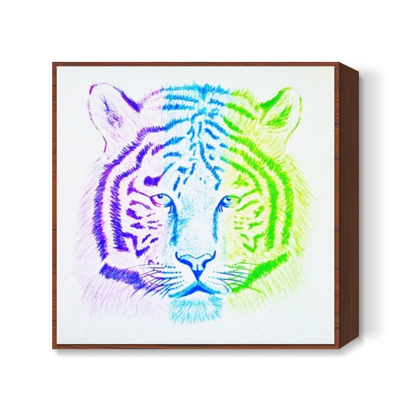 Three Coloured Tiger Square Art Prints