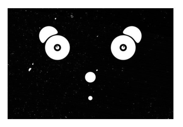Panda Face Art PosterGully Specials