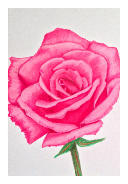 Wall Art, Rose Artwork