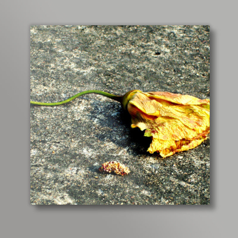 After life : Flower Square Art Prints