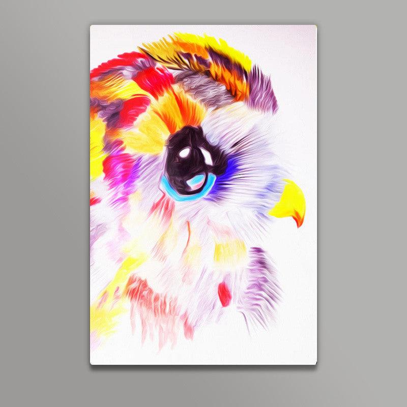 Colorful owl Wall Art