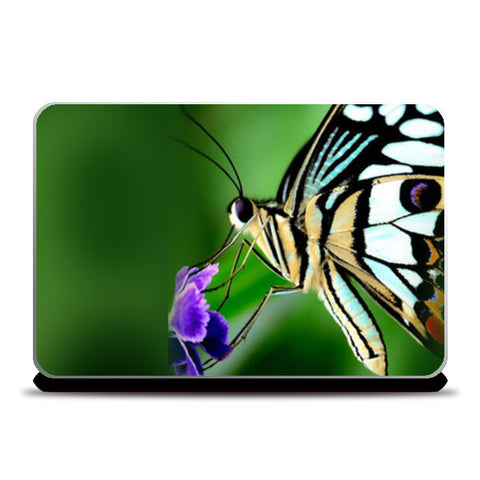 Laptop Skins, Butterfly Beauty Laptop Skins
