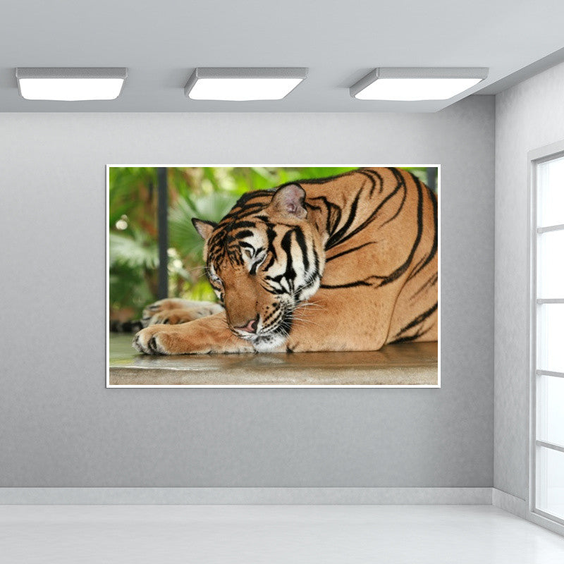 Sleeping Tiger Wall Art