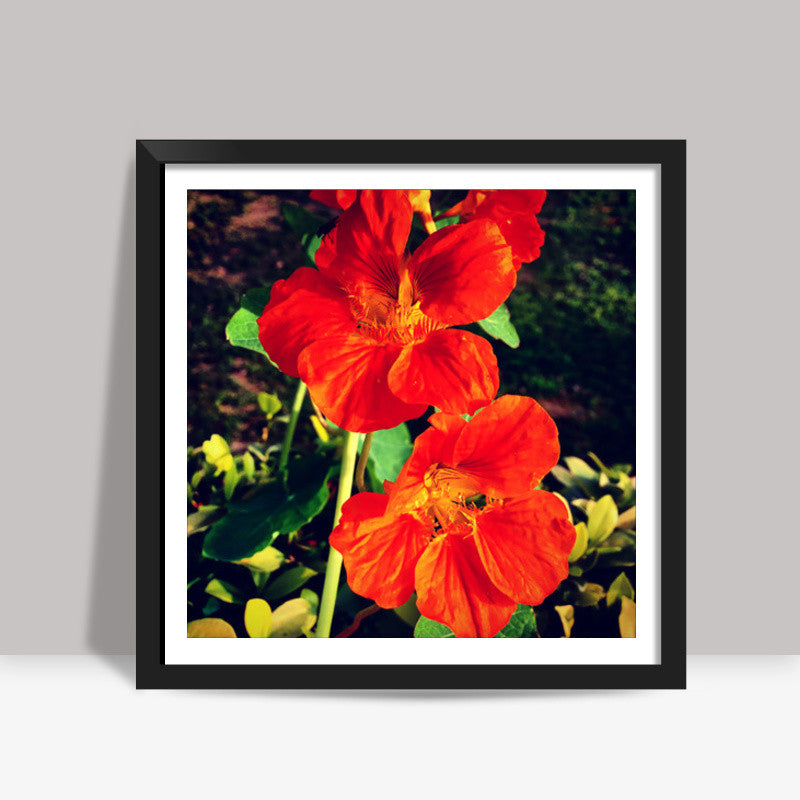 Beautiful Orange Flowers Square Art