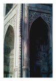 Taj Mahals Walls Wall Art