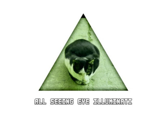 Wall Art, All Seeing Eye Illuminati Cat Wall Art