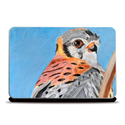 Laptop Skins, Kestrel Bird Laptop Skin