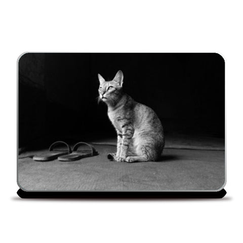 The Temple Cat Laptop Skins
