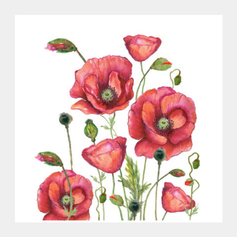 Poppy Flowers Watercolor Painting Elegant Floral Art Design Square Art Prints