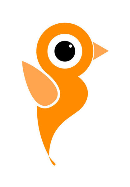 Beautiful Orange Bird Art PosterGully Specials