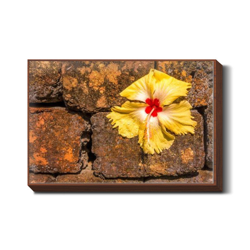 Chna Rose on Wall Art
