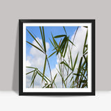 Bamboo Leaves Against Sky, Nature Square Art Prints