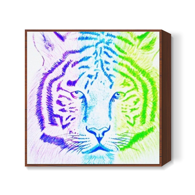 Three Coloured Tiger Square Art Prints
