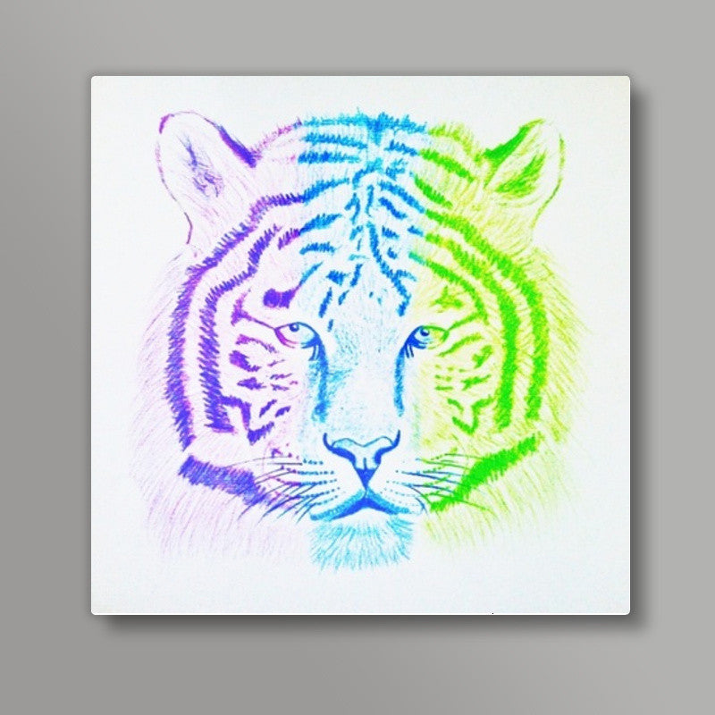 Three Coloured Tiger Square Art Prints