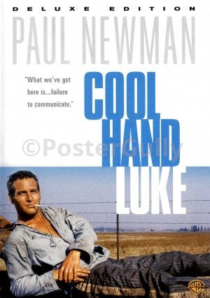 Wall Art, Paul Newman in Cool Hand Luke, - PosterGully