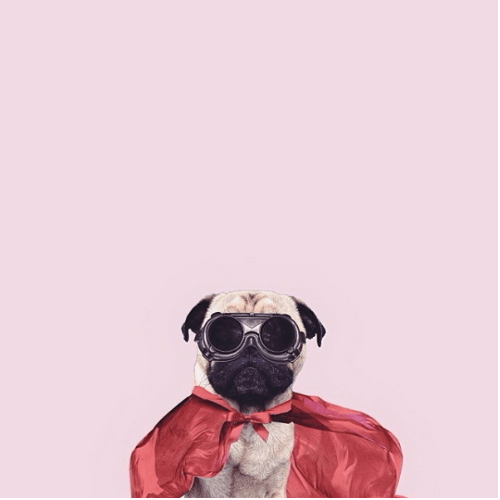 Keepcalm Prints - PosterGully