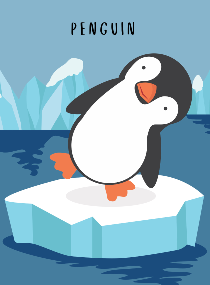 Animal Flash Cards