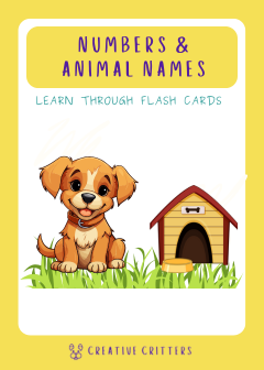 English Flash Cards