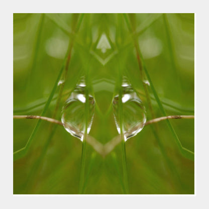 Square Art Prints, Best of Nature Square Art Prints