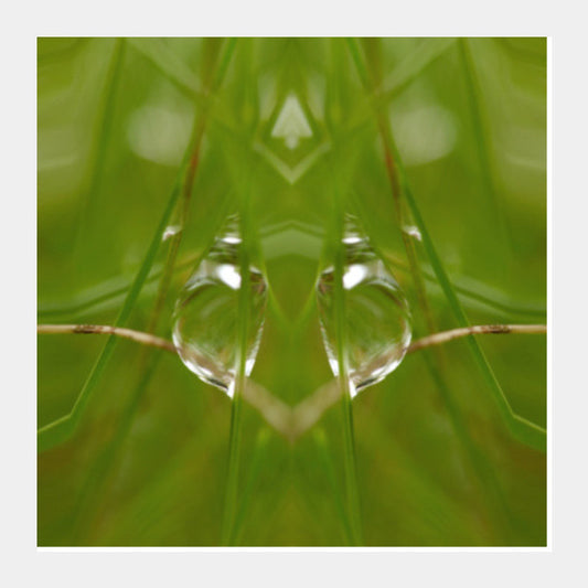 Square Art Prints, Best of Nature Square Art Prints