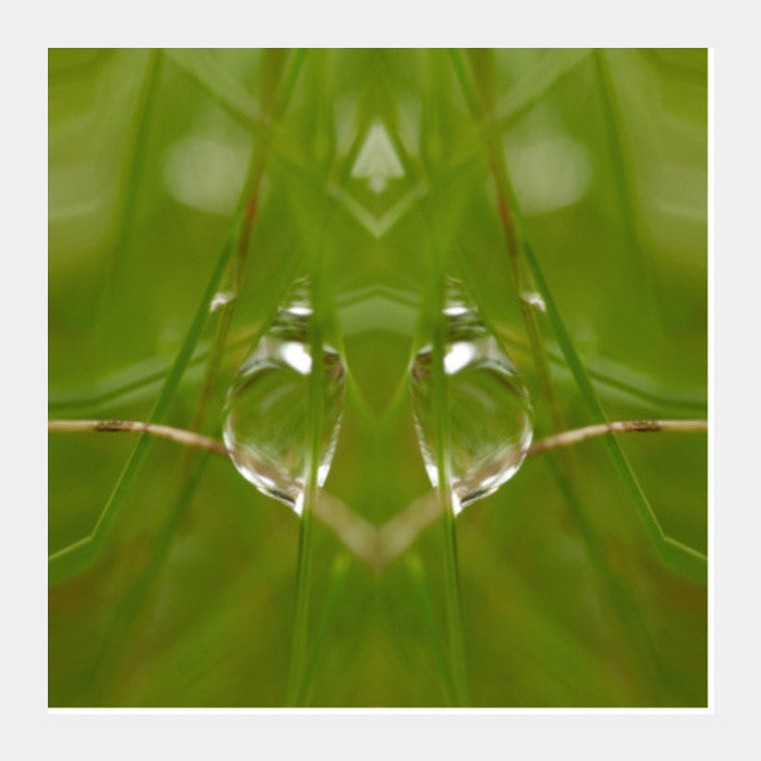 Square Art Prints, Best of Nature Square Art Prints