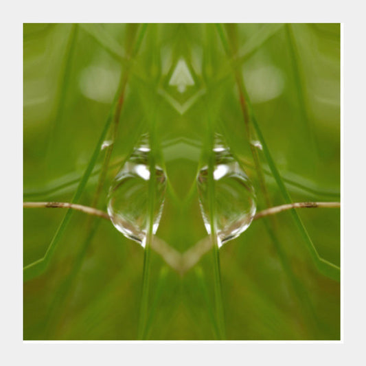 Square Art Prints, Best of Nature Square Art Prints