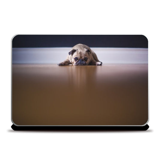 Laptop Skins, Pug Laptop Skins