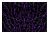 Spider-Web Wall Art