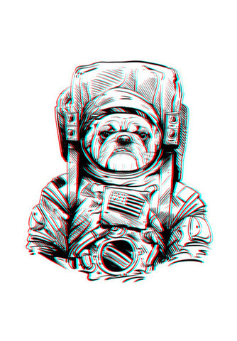 3D Space Dog Wall Art