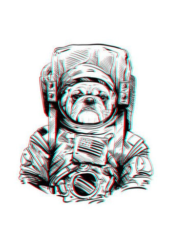 PosterGully Specials, 3D Space Dog Wall Art