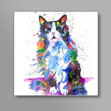 Clarity | Artwork | Cat Square Art Prints