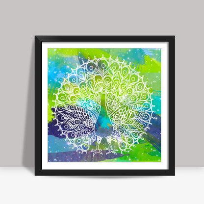 Indian Peacock Square Art Prints