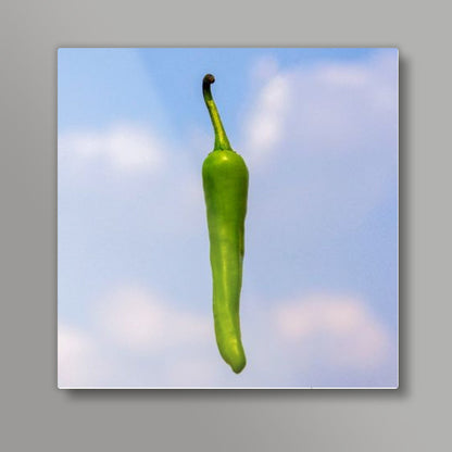 Chilli  Square Art