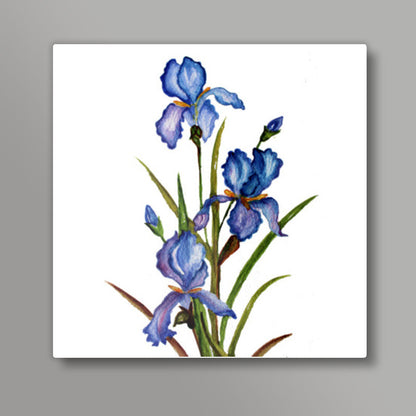 Blue Iris Square Art Print l Artist: Seema Hooda