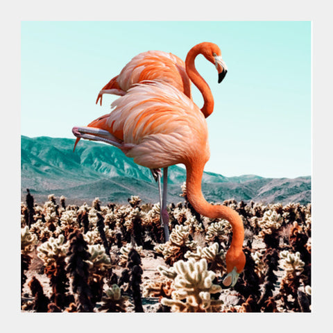 Flamingos In The Desert Square Art Prints PosterGully Specials