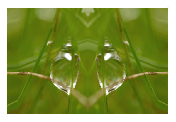 Wall Art, Best of Nature Wall Art