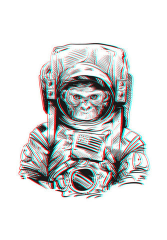 3D Space Monkey Art PosterGully Specials