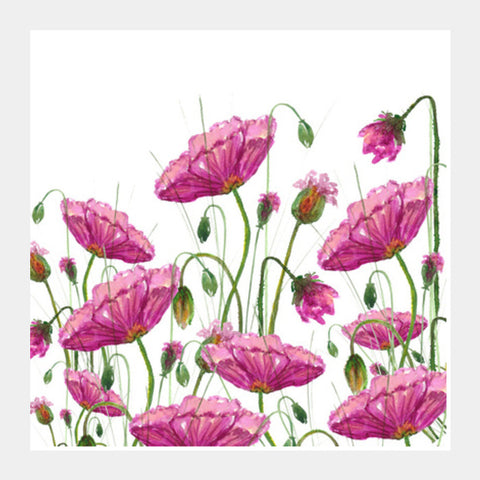 Abstract Pink Poppies Watercolor Floral Background Square Art Prints