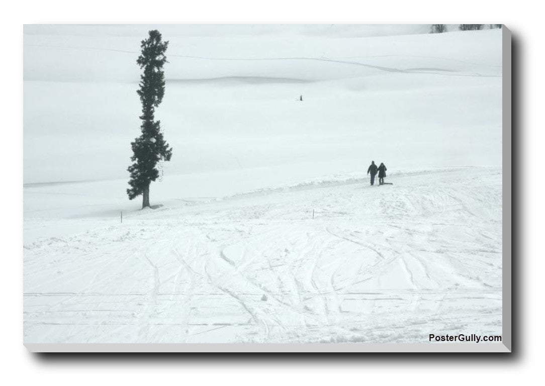 Brand New Designs, Snow Skating Artwork