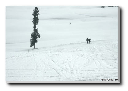Brand New Designs, Snow Skating Artwork