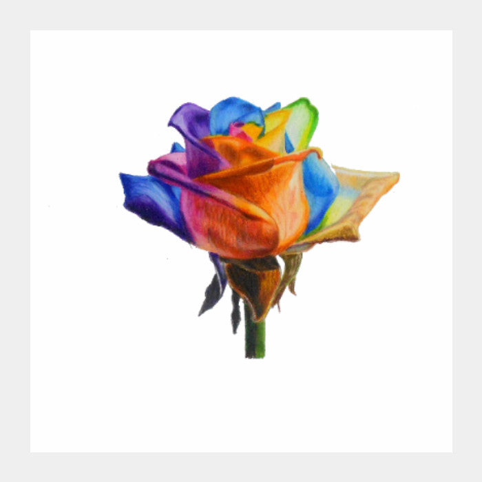 Square Art Prints, Rainbow Rose Square Art | artist : somin jain, - PosterGully